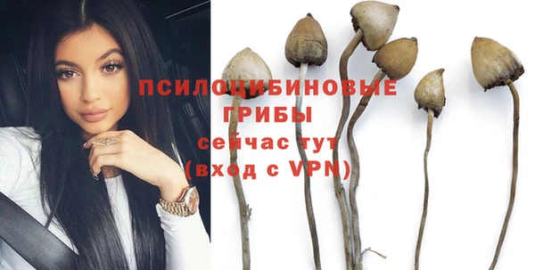 прущая мука Абдулино
