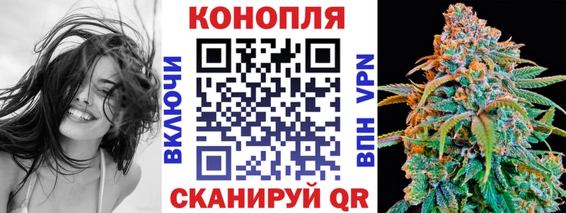 Бошки марихуана THC 21%  Чита 